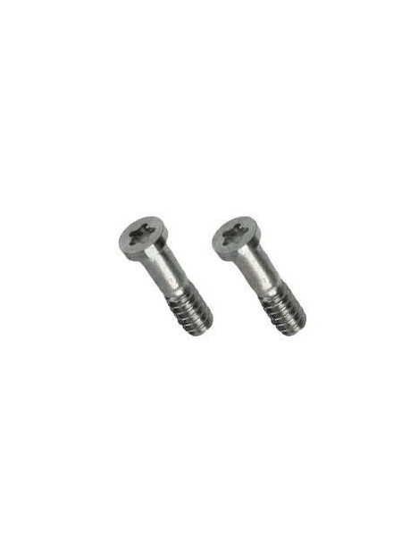 iPhone 5 Set 2 Tornillos plata remanufacturados