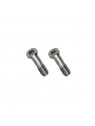 iPhone 5 Set 2 Tornillos plata remanufacturados