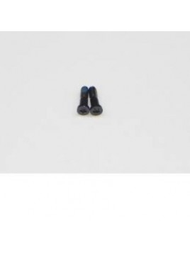 iPhone 5 Set 2 Tornillos negros conector carga