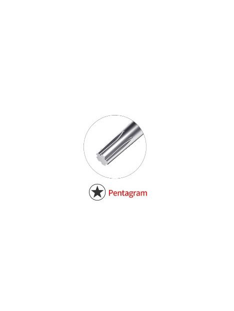 Aixun AX-IS005 A1-A Destornillador de precisión de punta pentagrama