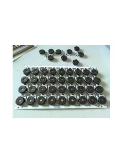 Buzzer altavoz para lizard