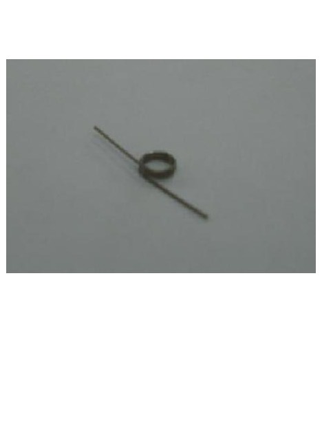 Muelle botones L y R Nintendo DS Lite