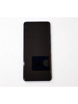 Pantalla LCD para Huawei P30 Pro VOG-AL00 VOG-AL10 VOG-L09 VOG-L29 VOG-TL00 mas tactil negro mas marco azul claro P
