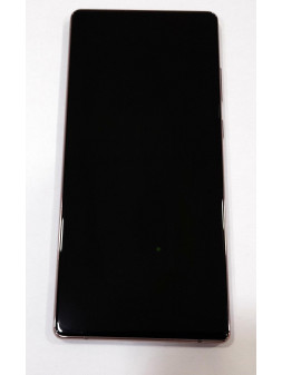 Pantalla GH82-23733B GH82-23495B para Samsung Galaxy Note 20 SM-N980F SM-N981B mas tactil negro mas marco Mystic Br